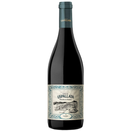 Estancia Uspallata Malbec Mendoza