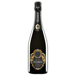 Franciacorta Extra Brut Millesimato Freccianera