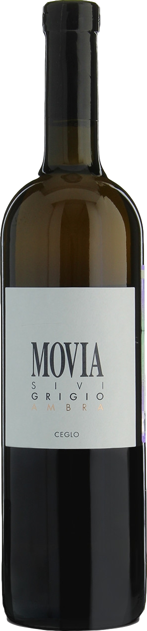 Movia Sivi Grigio Ambra 2023