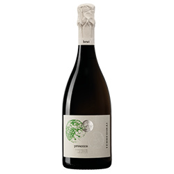 Prosecco Treviso Brut