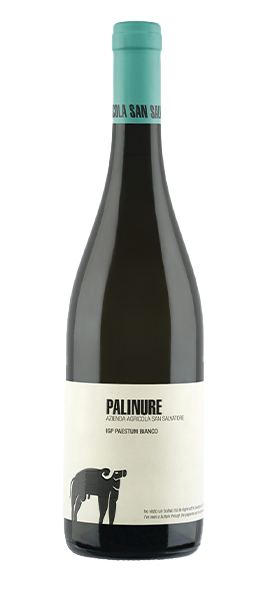 "Palinure" IGP Paestum Bianco 2024