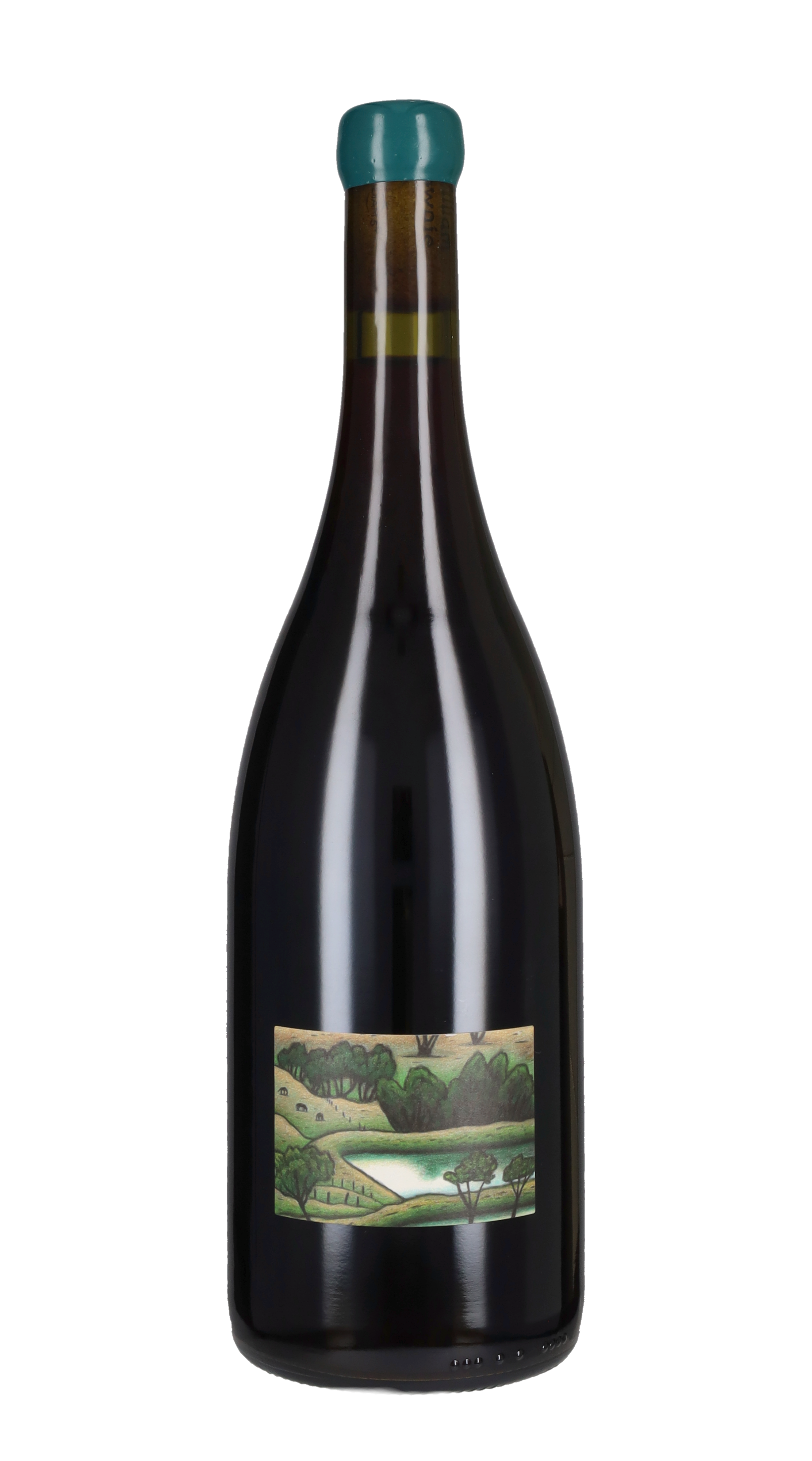 Pinot Noir 'Bull Swamp' William Downie