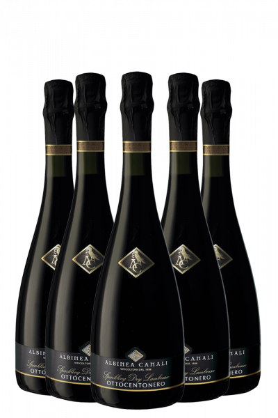 6 Bottiglie Lambrusco Ottocentonero Albinea Canali