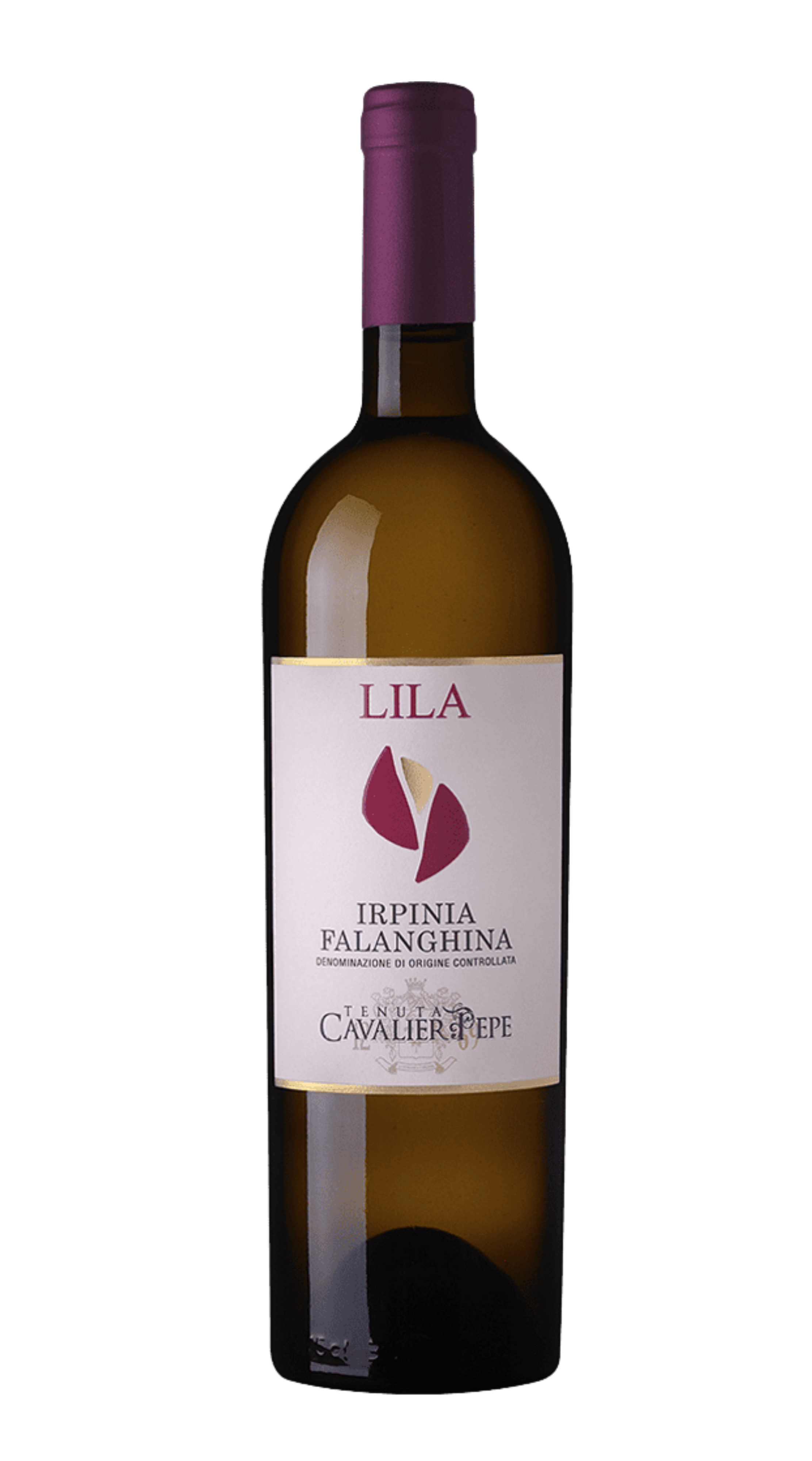 Falanghina 'Lila'