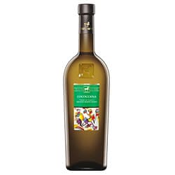 Tenuta Ulisse Cococciola Terre di Chieti IGT 2025 0,75 ℓ
