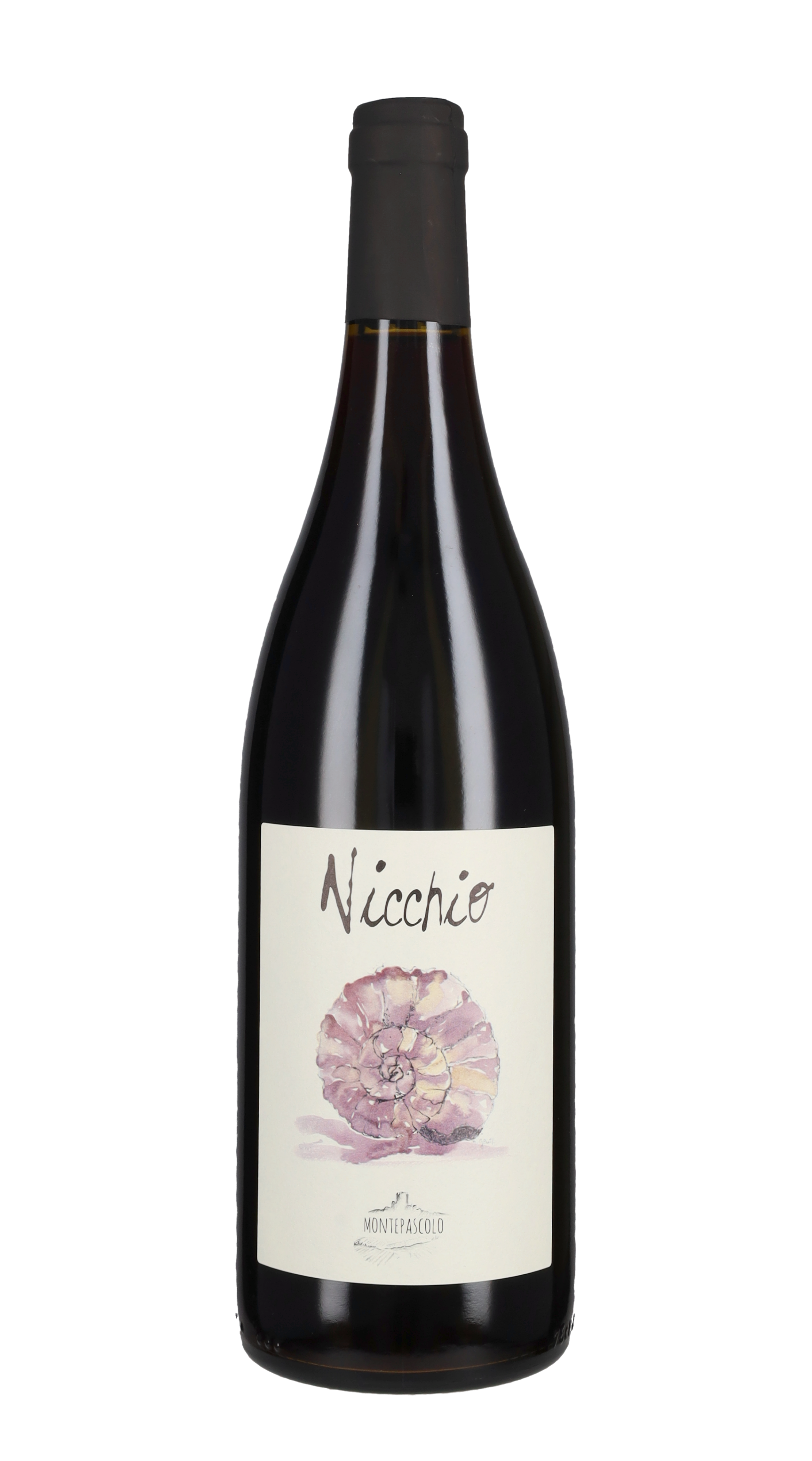 'Nicchio'