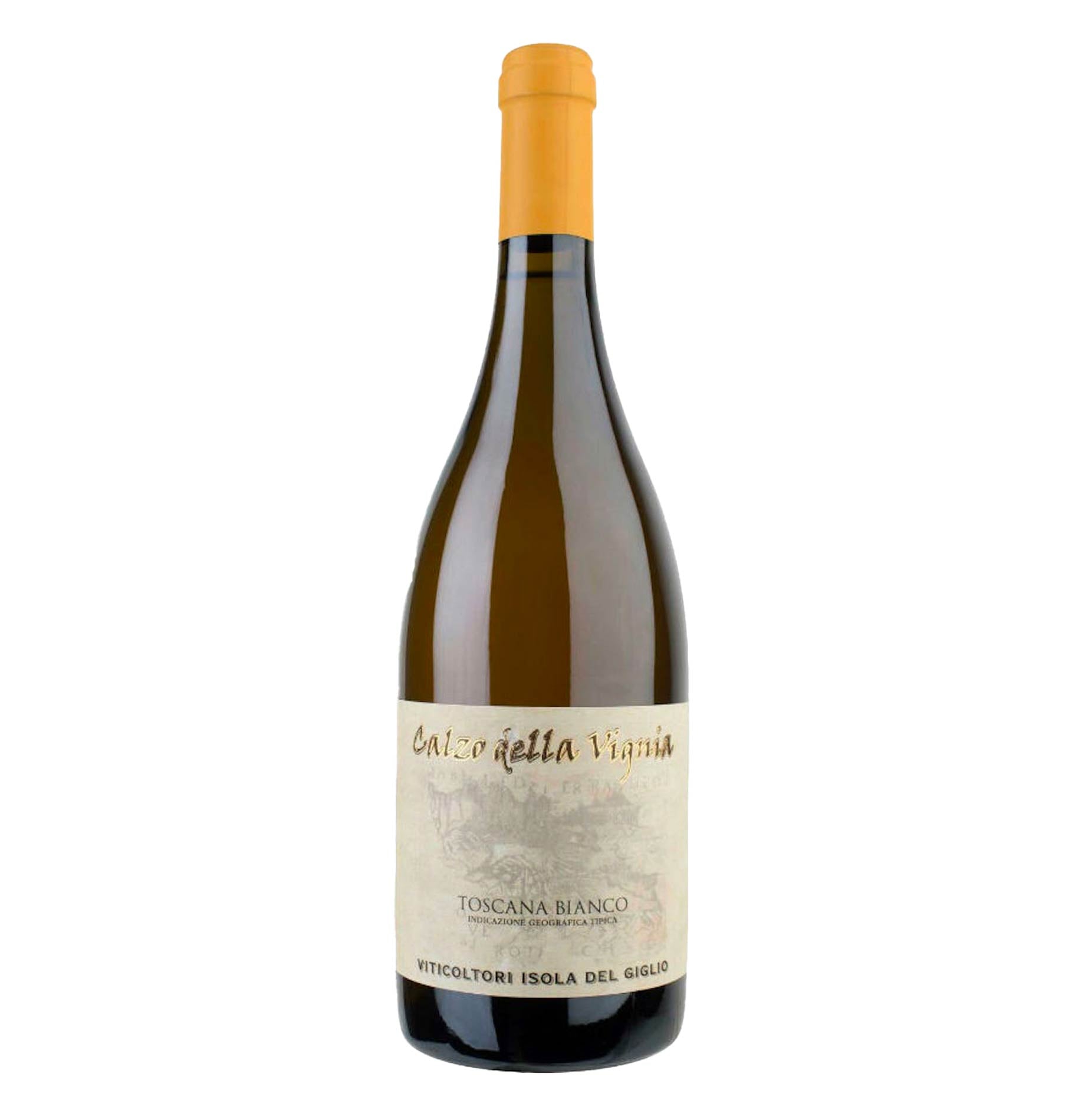 Toscana Bianco IGT Ansonica Calzo della Vignia