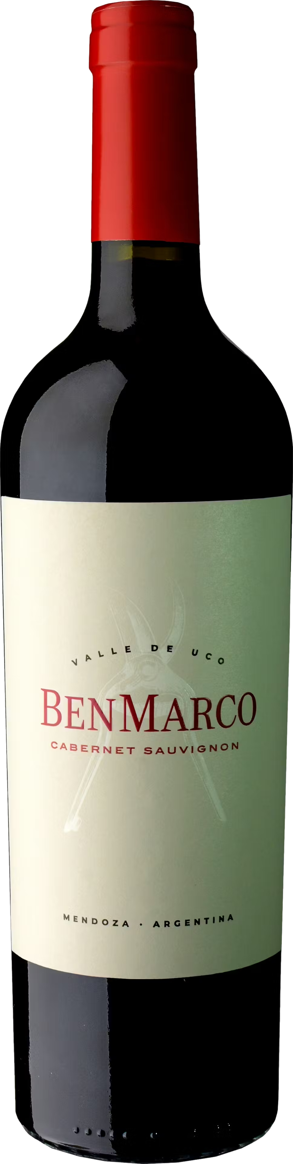 Susana Balbo BenMarco Cabernet Sauvignon 2021