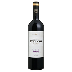 Campanha DO Merlot Intenso Salton