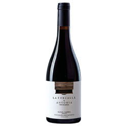 Bodega Rafael Cambra La Forcallà de Antonia Valencia DO Tinto 2024 0,75 ℓ