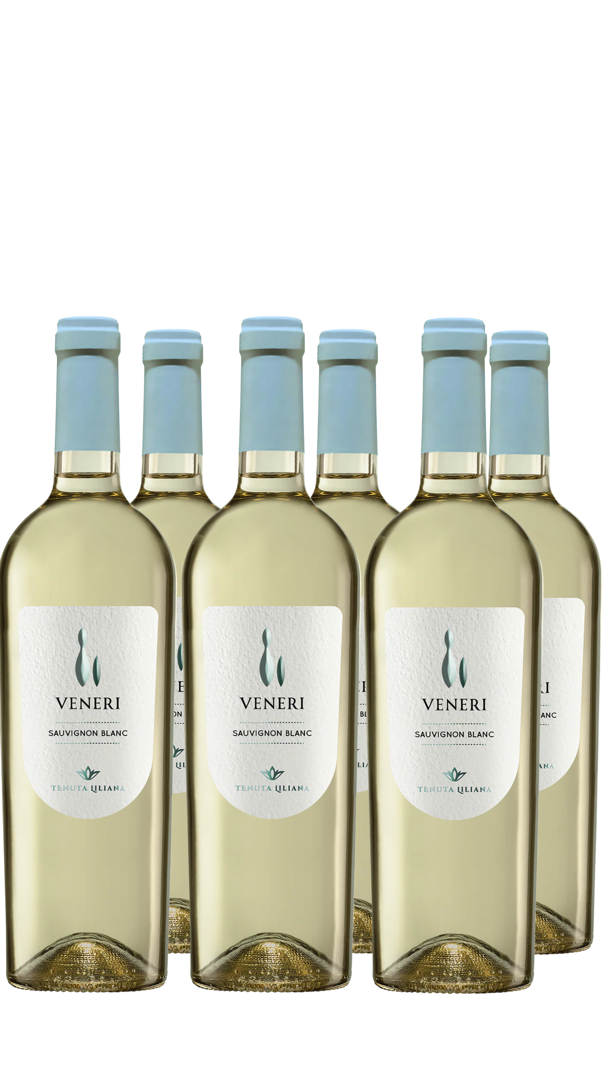 Wine Box Sauvignon Blanc Veneri