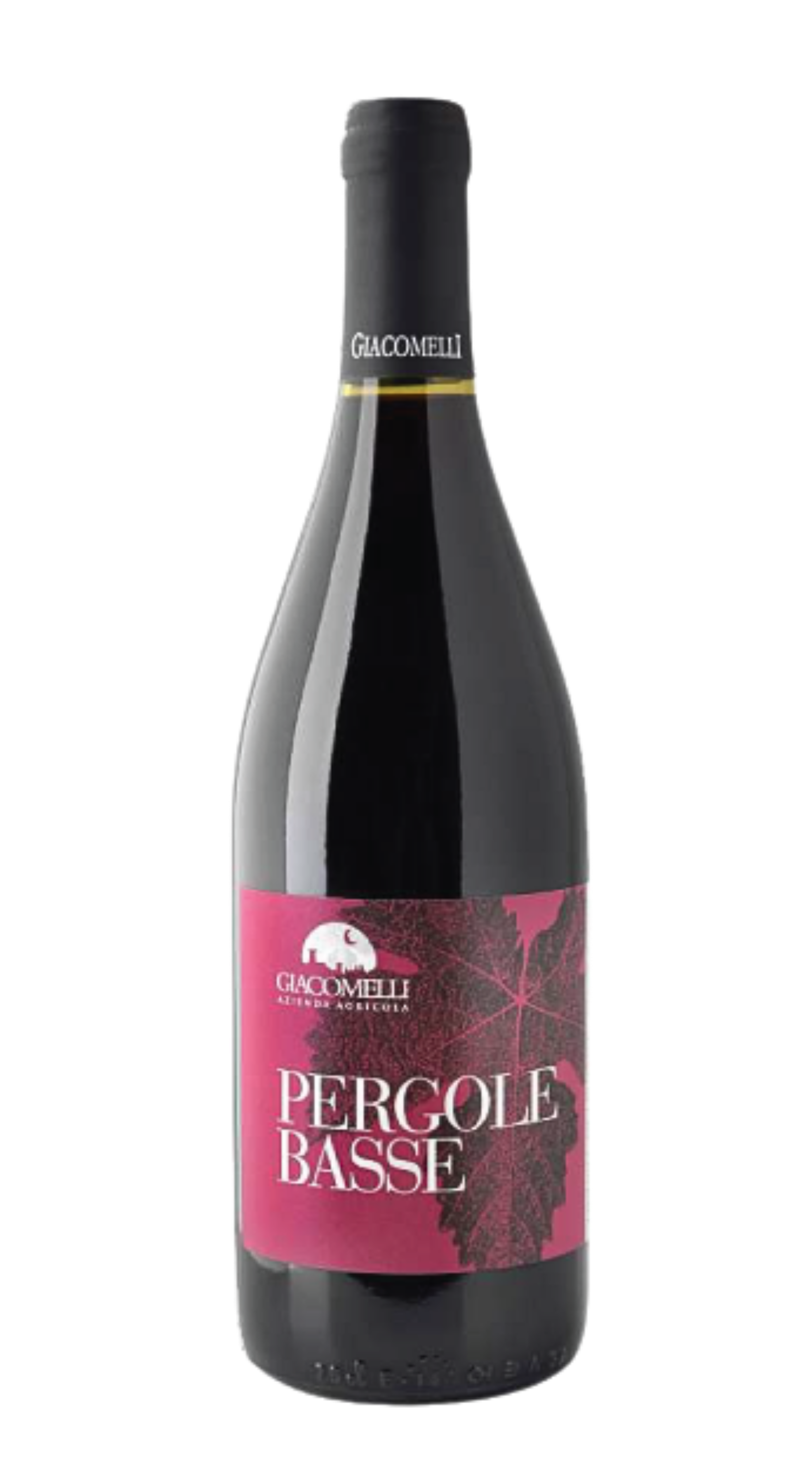 Merlot 'Pergole Basse'