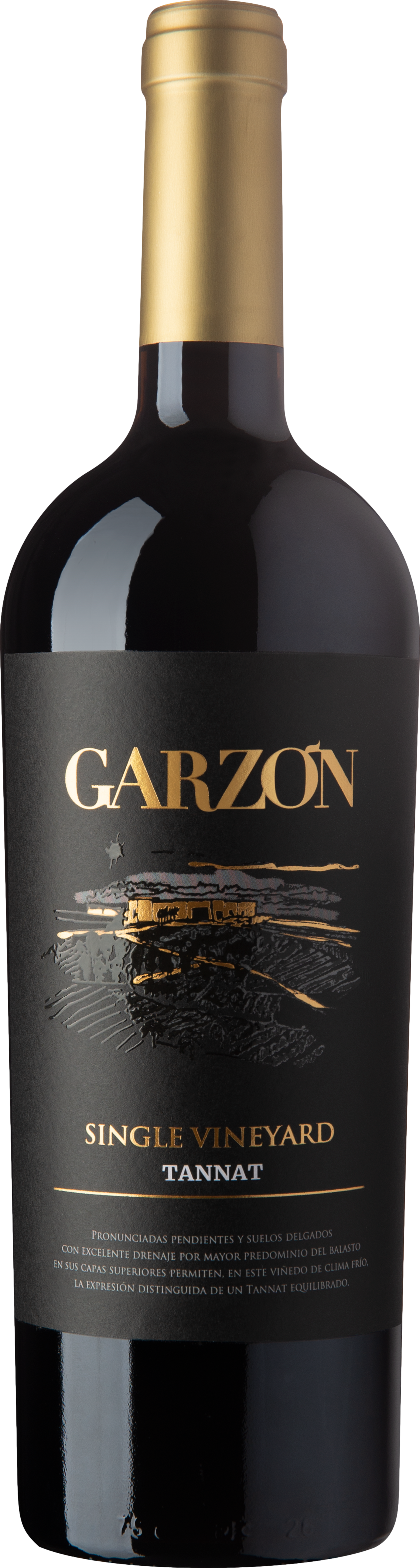 Bodega Garzon Single Vineyard Tannat 2022