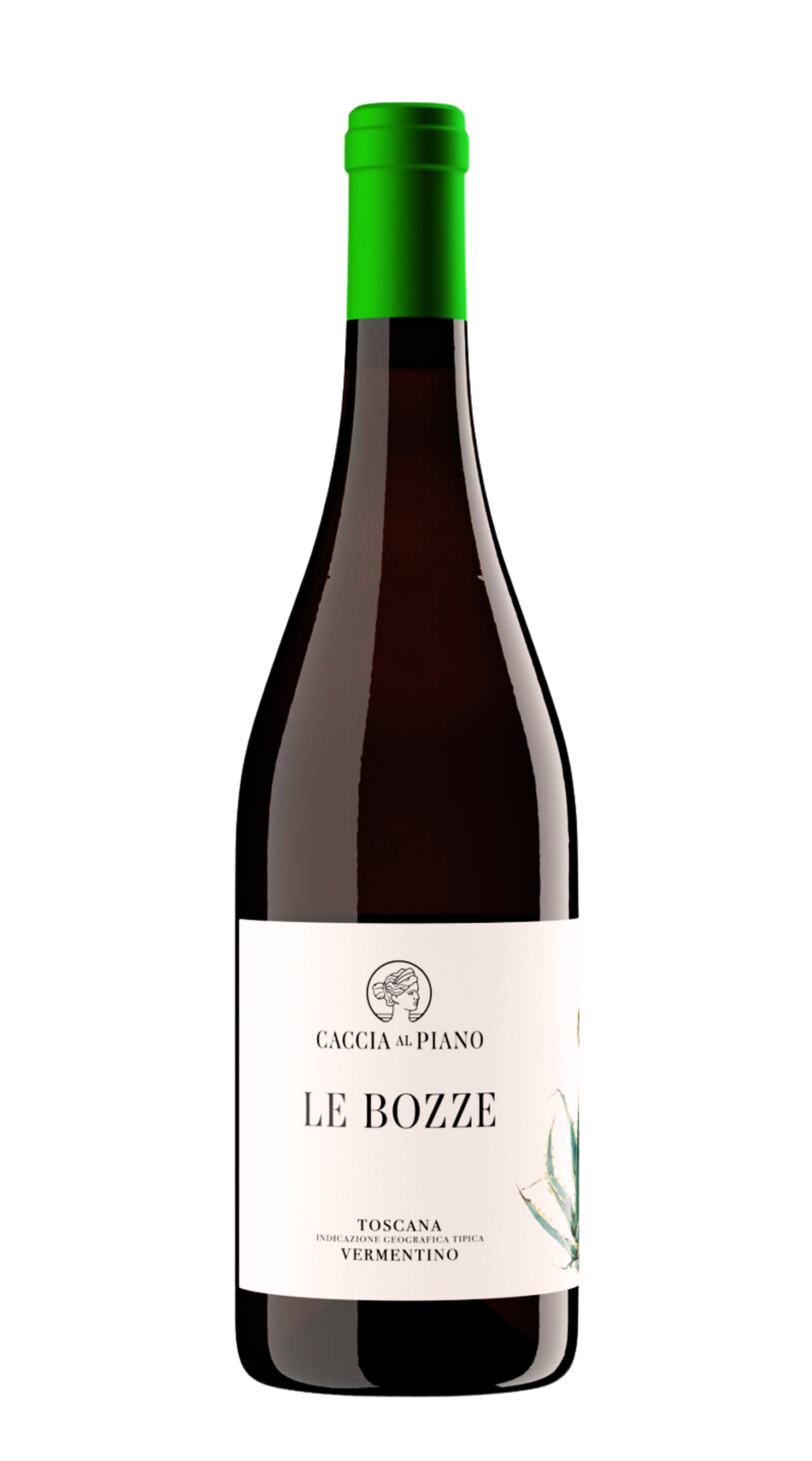 Vermentino 'Le Bozze'