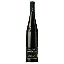 Oltrepò Pavese Pinot Nero Frizzante