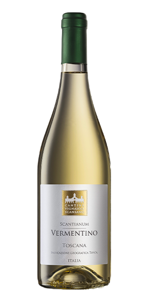 Vermentino Toscana IGT 2024