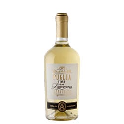 Duca di Saragnano Fiano da Uve Leggermente Appassite Puglia IGT 2024 0,75 ℓ