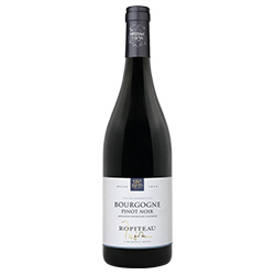 Bourgogne Pinot Noir