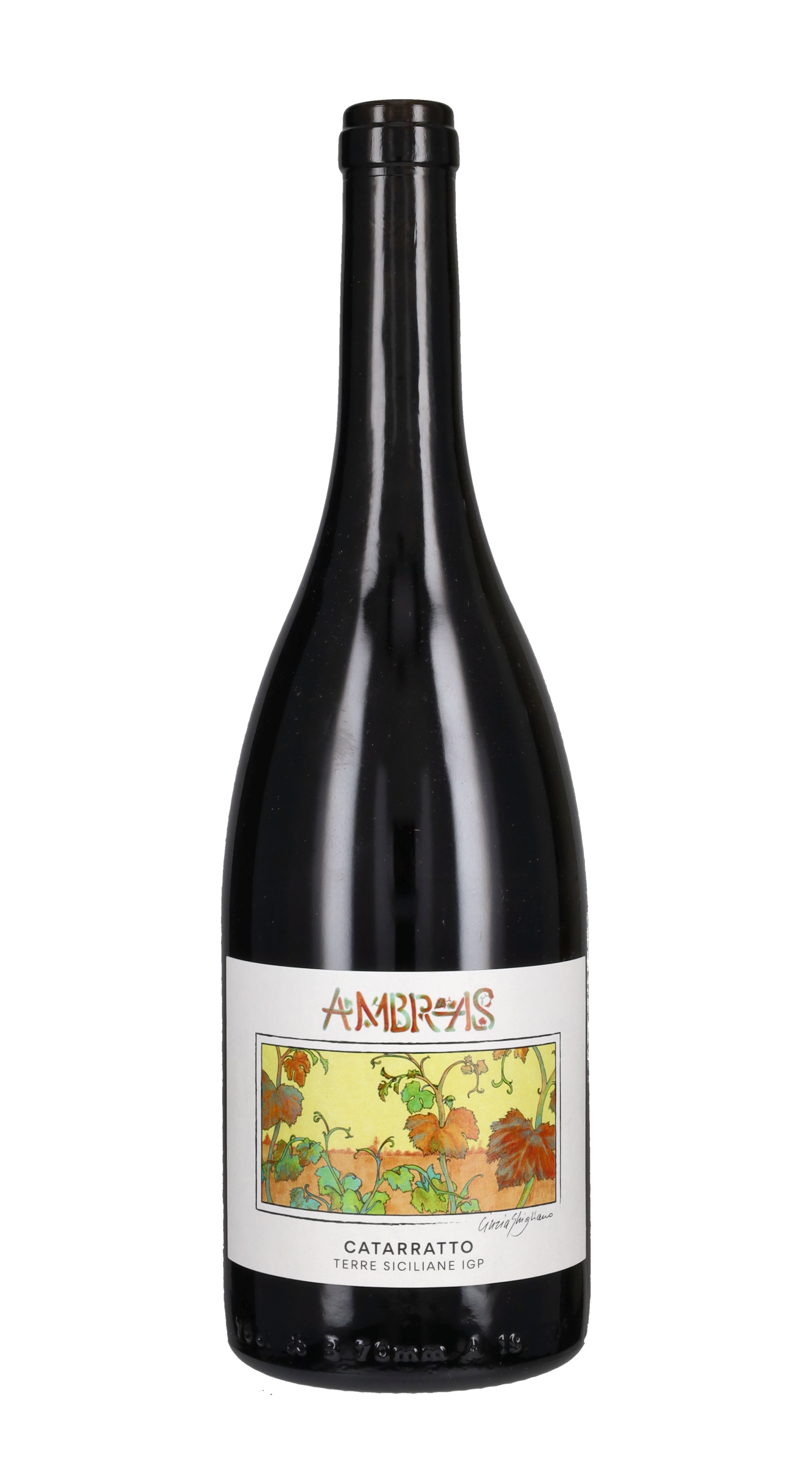 Catarratto 'Ambras' Barracco