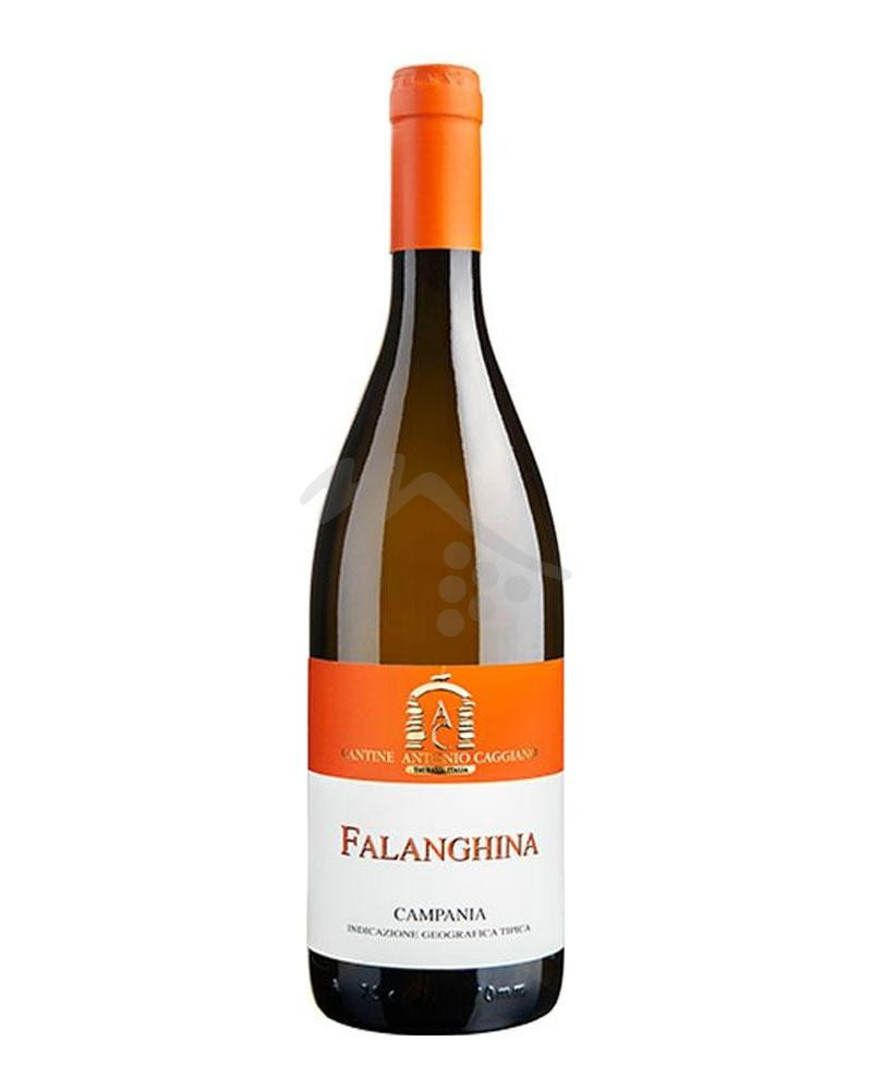 Falanghina