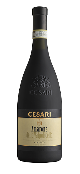 Amarone della Valpolicella Classico 2019