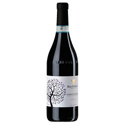 Nebbiolo d'Alba La Reala