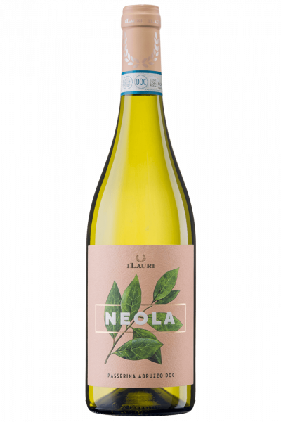 Passerina Neola iLauri