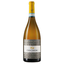 Falerno del Massico Bianco Caucinum