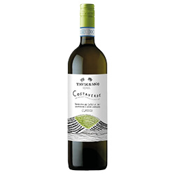 Verdicchio dei Castelli di Jesi Classico Costa Verde