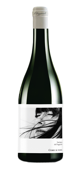 Sauvignon Emilia IGT "Come il Vento" 2025