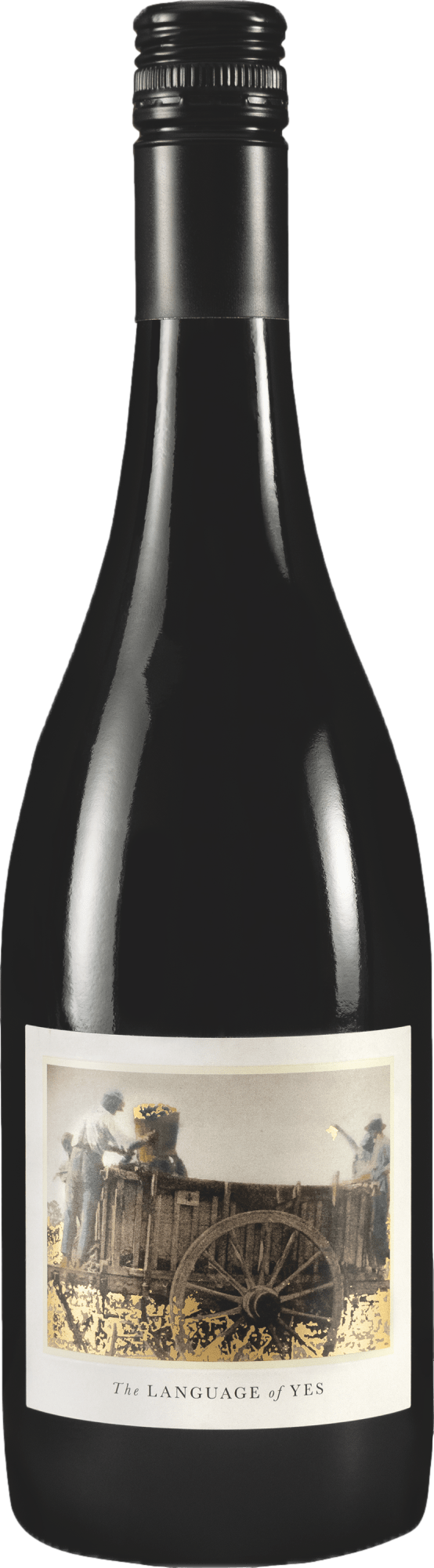 The Language of Yes Syrah 2022