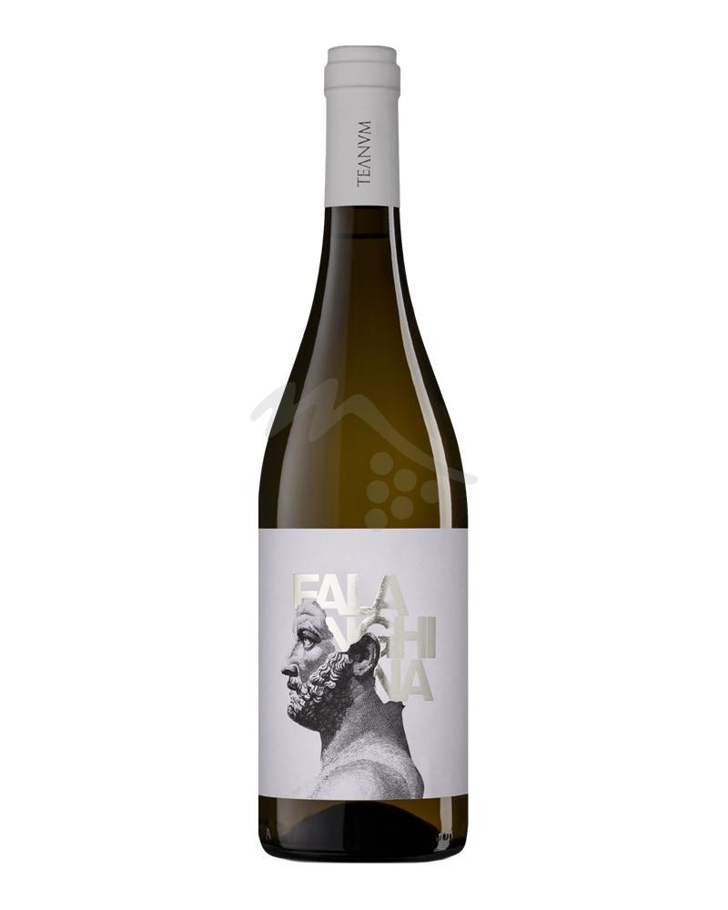 Favugne Falanghina Puglia IGP Cantine Teanum