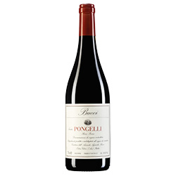 Rosso Piceno Tenuta Pongelli