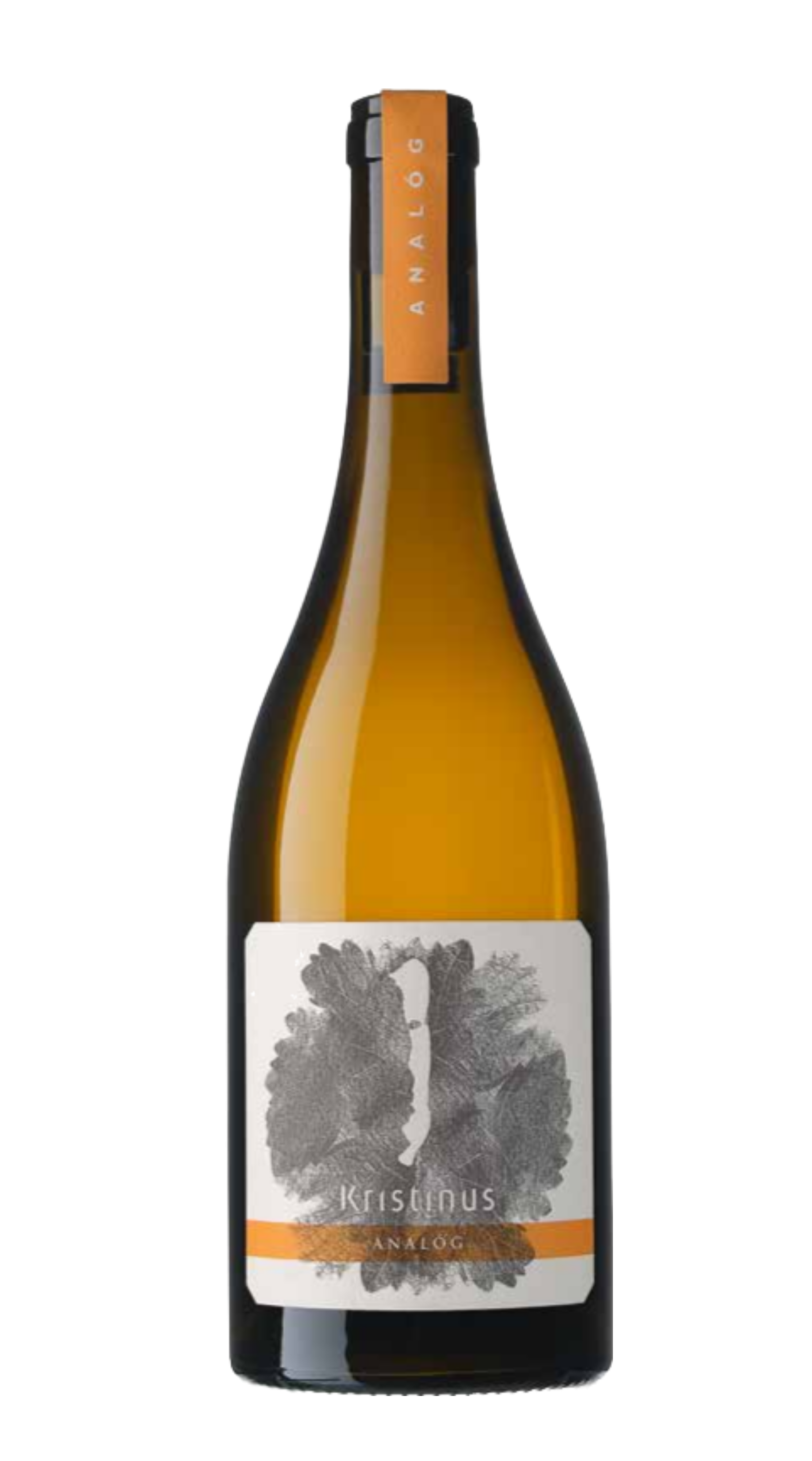 'Analog' Kristinus