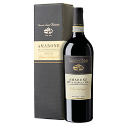 Amarone della Valpolicella Selezione Antonio Castagnedi