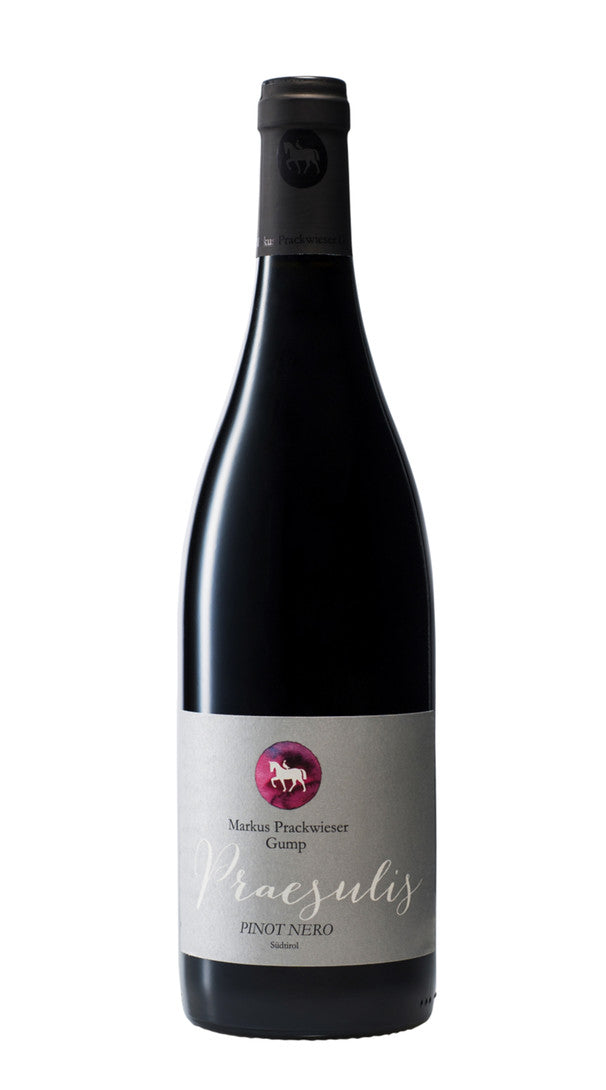 Pinot Nero 'Praesulis' Gumphof