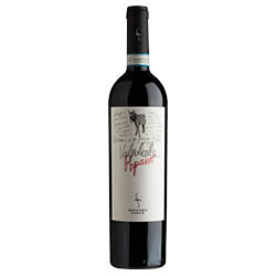 Secondo Marco Valpolicella Ripasso DOC Classico Superiore 2019 0,75 ℓ