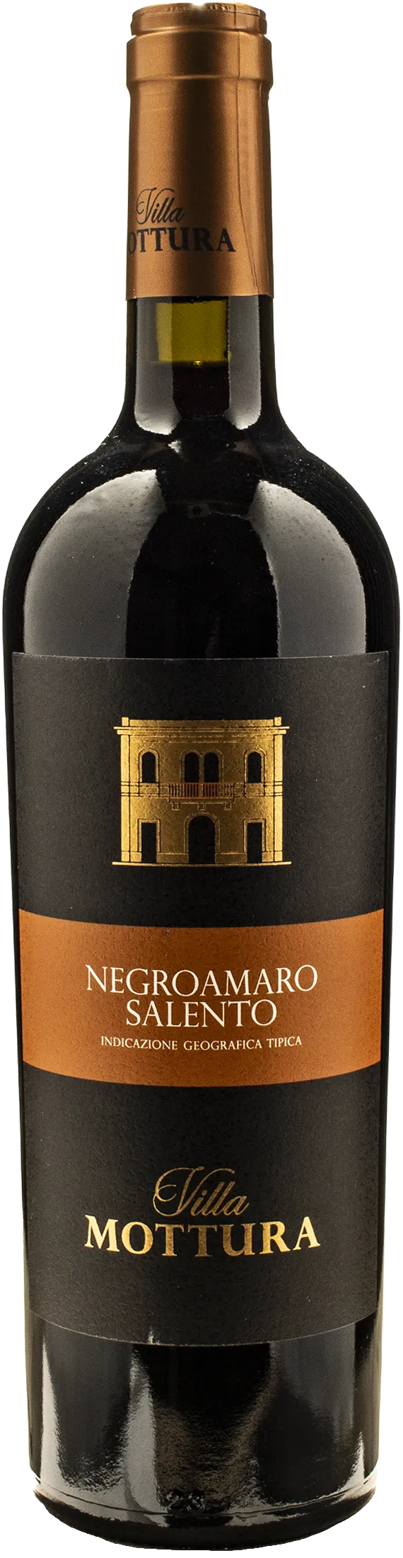 Villa Negroamaro Salento