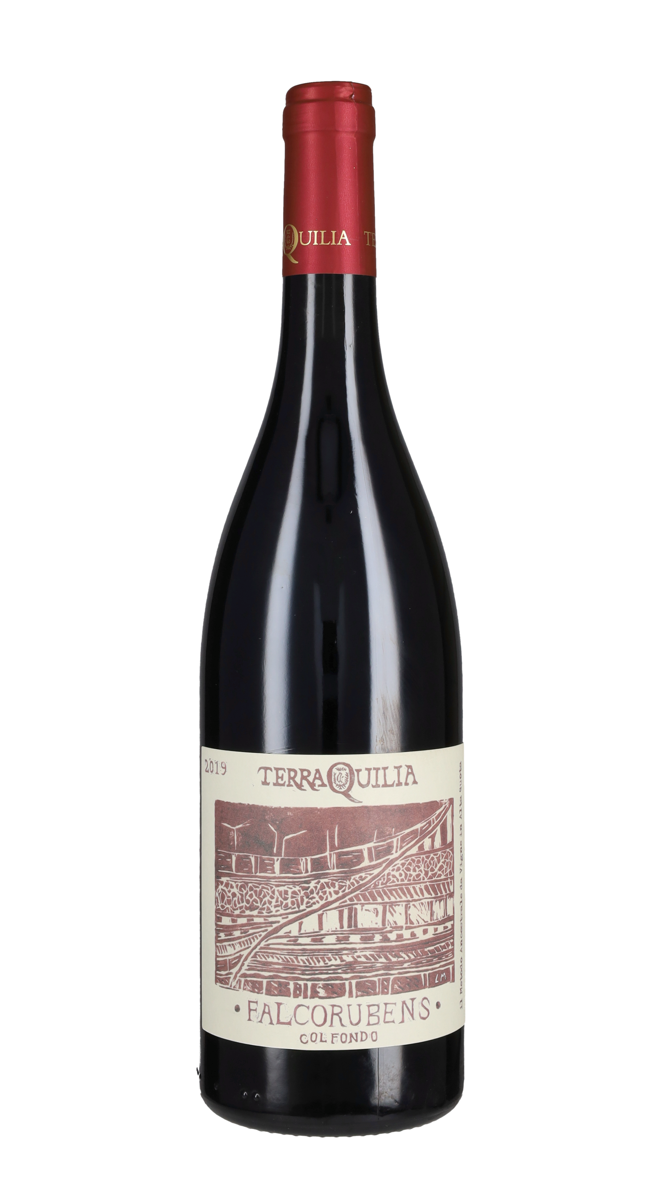 Lambrusco 'Falcorubens col fondo'