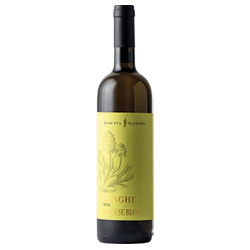 Josetta Saffirio Langhe Rossese Bianco DOC 2023 0,75 ℓ