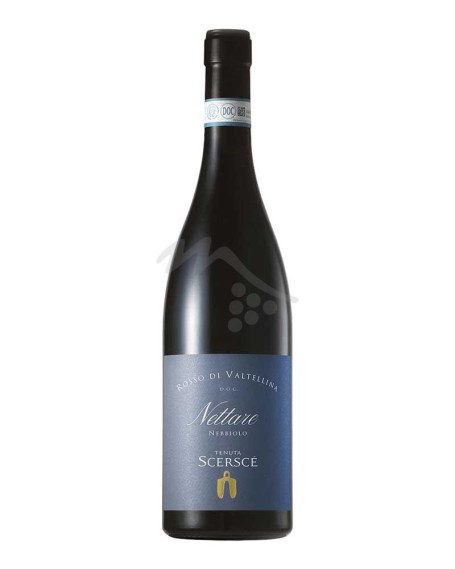 Nettare Nebbiolo 2023 Rosso di Valtellina DOC Tenuta Scerscè