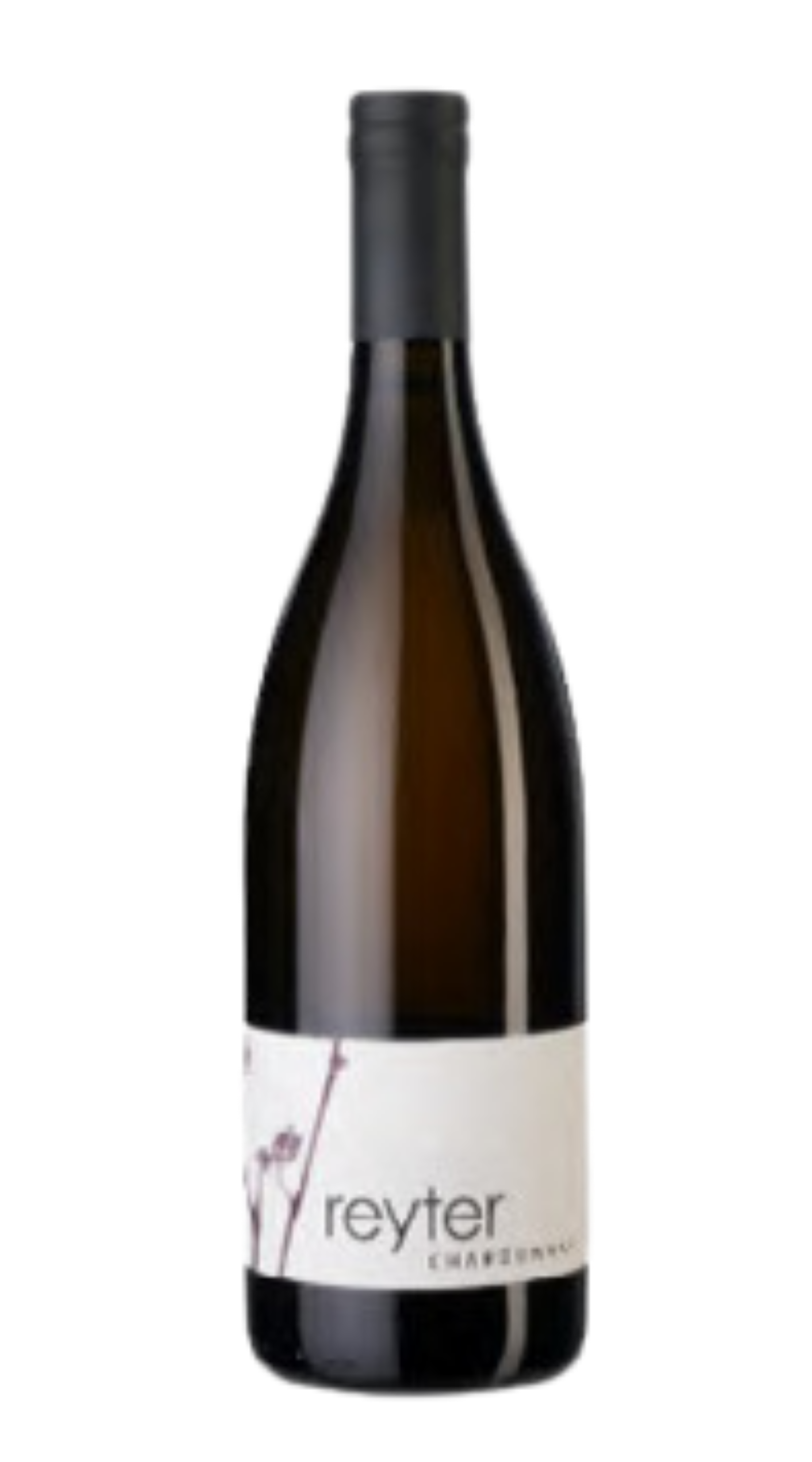 Chardonnay Reyter