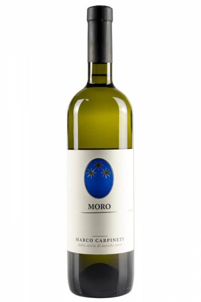 Moro Marco Carpineti