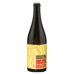 Golden Ale Bruton di