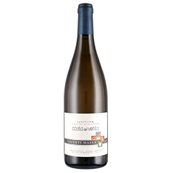 Vigneti Massa Derthona Costa del Vento 2023 0,75 ℓ