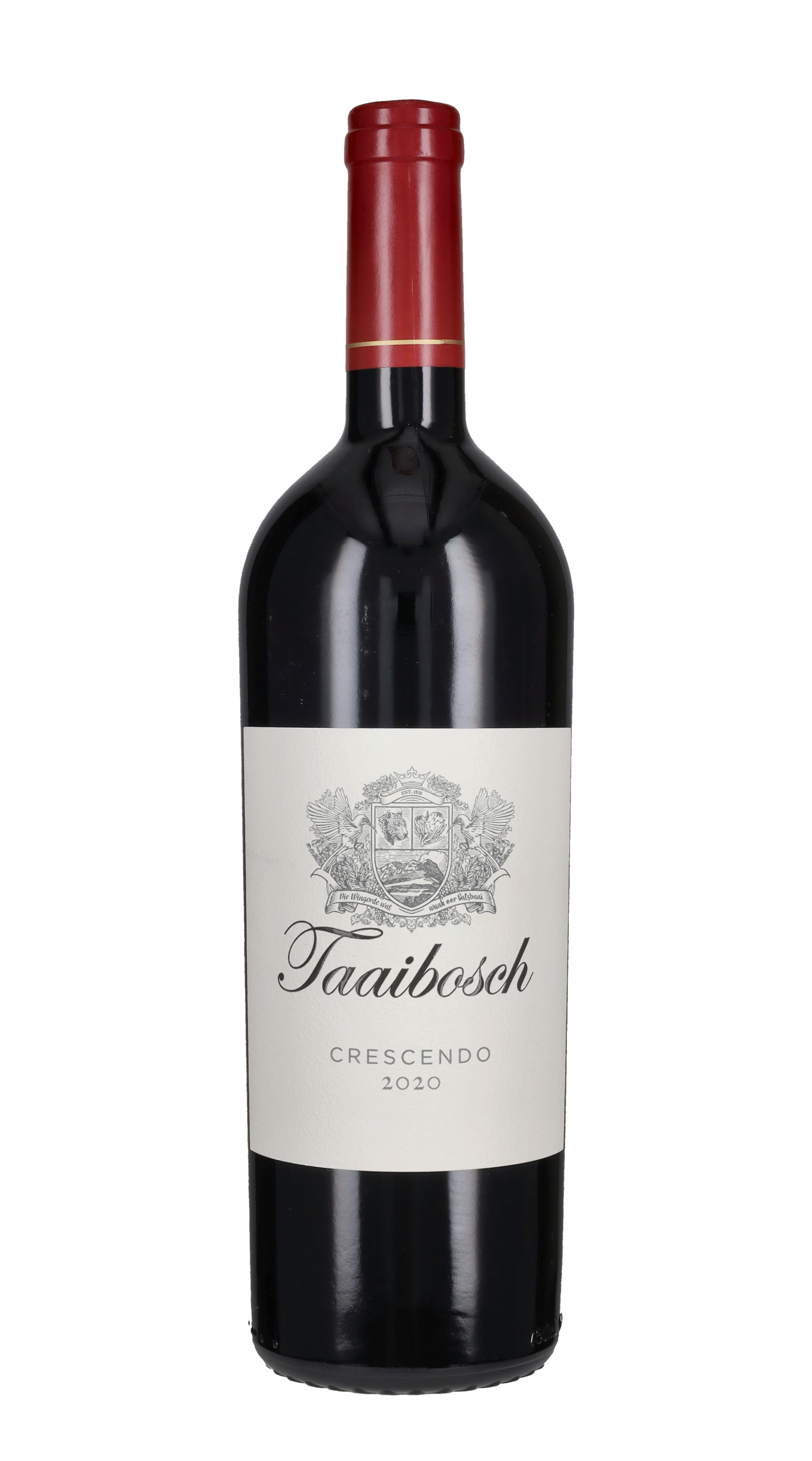 Rosso 'Crescendo' Taaibosch