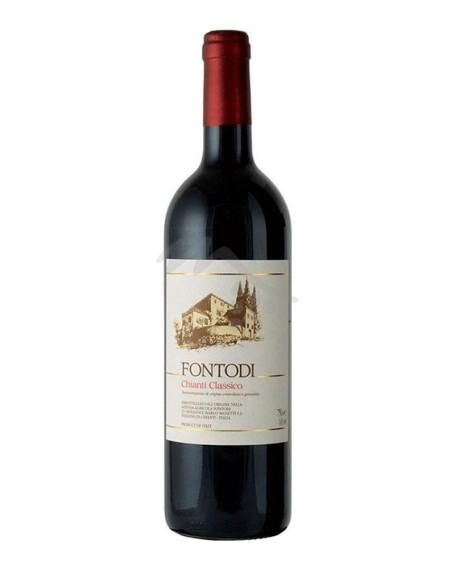 Chianti 2021 Chianti Classico DOCG Fontodi