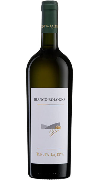 Sauvignon Blanc DOC - Bianco Bologna