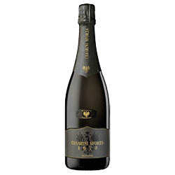 Trento Riserva Extra Brut 1673
