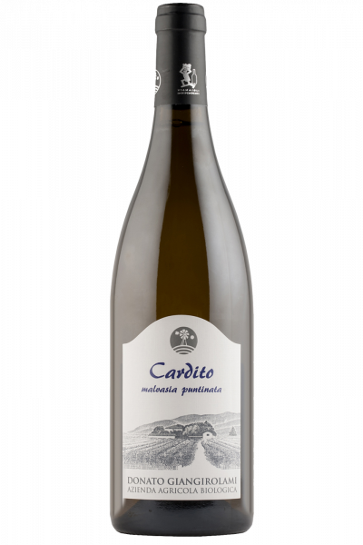 Malvasia Puntinata Cardito Donato Giangirolami